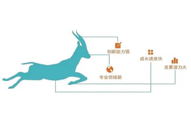 Lain Optoelectronics passed the 2022 Shandong Province Gazelle Enterprise Review